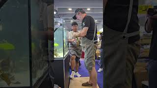 Meeting The Legendary Heiko Bleher HeikoBleher CIPS2024Aquariums AquariumHobby aquariumcontent [upl. by Smallman]