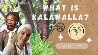 KALAWALLA the Amazing Blessing from the Caribbean 🌿 [upl. by Ecad]