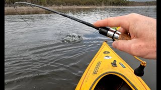 Lake Bellfield Grampians XL Rainbow Trout [upl. by Faline]