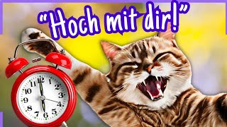 Fröhliche Morgengrüße von witzigen Vierbeinern zum Teilen 😹 [upl. by Elton]