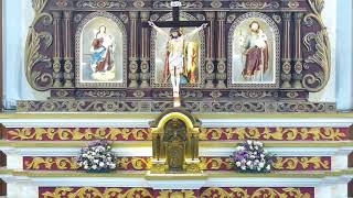 02102024  മതബോധന വാർഷികം  HOLYMASS  StGeorge Church Perumanoor [upl. by Leffen]