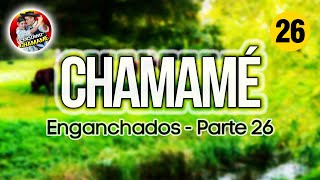 ✅ENGANCHADOS de CHAMAMÉ 2024 🎼 quotParte 26quot 🎼EXCLUSIVO CHAMAME 2024✅ [upl. by Hareehat669]