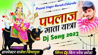 paplaj mata yatra song singernareshchhareda पपलाज माता यात्रा डीजे सॉन्ग rajeshbairwachimapura [upl. by Hamlani]