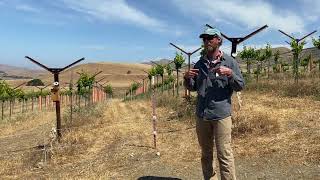 Paicines Ranch Vineyard workshop [upl. by Broome]