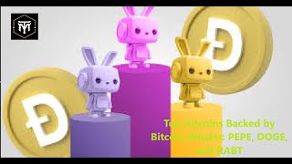 Top Altcoins Backed by Bitcoin Whales PEPE DOGE and RABT [upl. by Ayoras589]