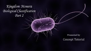 Kingdom Monera  ArchaebacteriaEubacteriaCyanobacteriaMycoplasma  Biology Class 11NEET [upl. by Edgerton928]