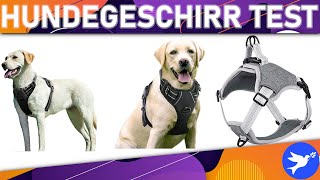 ᐅ Hundegeschirr Test 2024  Die besten Hundegeschirre vorgestellt [upl. by Anuahsat]