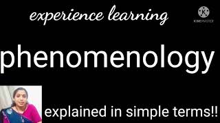 phenomenology simple explanation [upl. by Renell]