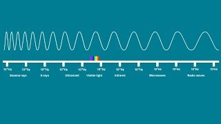 ELECTROMAGNETIC SPECTRUM SONG  Science Music Video [upl. by Trula]