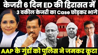 Court grants ED 6 days custody of Kejriwal 3 वकील Kejri का केस छोड़ कर भागे PIL to remove Kejri CM [upl. by Aber]