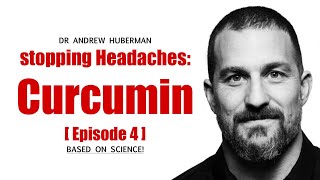 Episode 4 Tumeric aka Curcumin  Dr Andrew Huberman [upl. by Erbas]