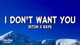 Riton RAYE  I Dont Want You [upl. by Ludie]