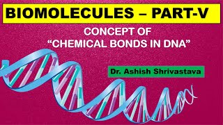 CHEMICAL BONDS IN DNA  Nucleic Acids   NEET  BIOMOLECULES [upl. by Anifesoj]