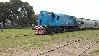 ALCO RSD 16 8458 DE TRENES ARGENTINOS CARGAS LSM [upl. by Ylrebmyk209]