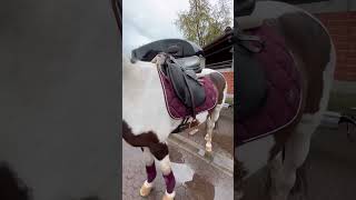 Vlog🐴🥰 pferdemädchen reiter pony fyppferdeliebe reiten [upl. by Klug19]