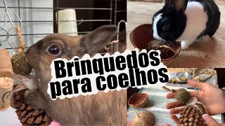 COMO FAZER BRINQUEDOS COMESTÍVEIS PARA COELHOS  BRINQUEDOS  GULOSEIMAS [upl. by Yrollam711]