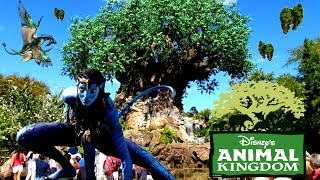 Animal kingdom FULL DAY PARK  Orlando the full guide Ep21 [upl. by Alodee]