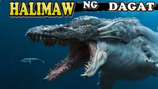 6 HALIMAW Ng Karagatan  HALIMAW Ng Dagat  NAKAKATAKOT Na Halimaw Sa Dagat  Mga Sinaunang ISDA [upl. by Gnal]