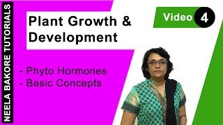 Plant Growth amp Development  NEET  Phyto Hormones  Basic Concepts  Neela Bakore Tutorials [upl. by Akiemahs]