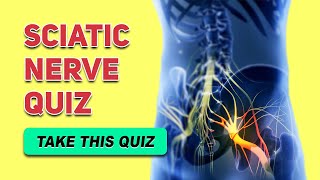 Sciatic Nerve Quiz  Human Anatomy and Physiology [upl. by Emyaj478]