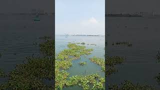 Beautiful boat jetty Willingdon island Kochi [upl. by Rother23]