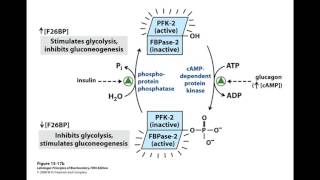 F26BP [upl. by Karla]