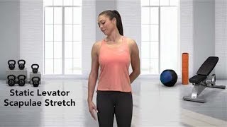 How to do a Static Levator Scapulae Stretch [upl. by Devine]