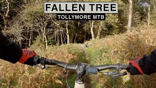 Tollymore MTB Fallen Tree [upl. by Kennie244]