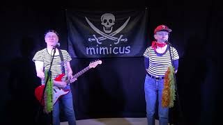 Es war mal ein Pirat Piratenlied für Kinder Kindermusiktheater mimicus [upl. by Nylesaj]