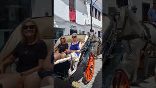 Charming Mijas Pueblo HorseDrawn Carriage Tour Through Andalusia [upl. by Rosaleen951]