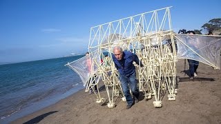 Adam Savage Meets Theo Jansens Strandbeest [upl. by Newsom]