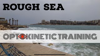 Advanced Vestibular Exercise Rough Sea [upl. by Tay602]