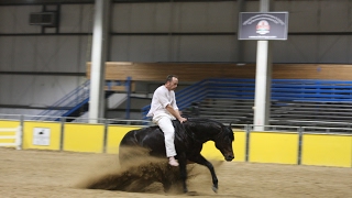 Amazing Reining freestyle [upl. by Hitt153]