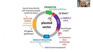 Molecular cloning overview  techniques amp workflow [upl. by Clellan]