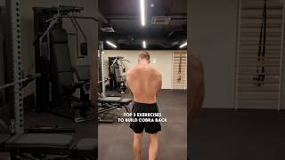 Top 3 Exercises for a Cobra Back workouttips [upl. by Crandale328]