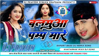 Balamua Pamp Mare Dj Remix Gana Abdhesh Premi Tabahi Dj Song 2024 New Style Mix Gana [upl. by Farrington]