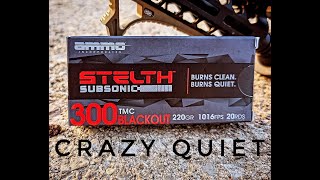 The Ammo Inc Stelth Subsonic Line Is Crazy Quiet [upl. by Annaj]