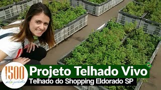 Telhado Verde  Shopping Eldorado [upl. by Nagoh927]