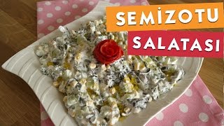 Semizotu Salatası [upl. by Alrep549]