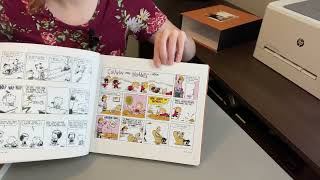 Review of The Complete Calvin and Hobbes Set [upl. by Sugirdor]