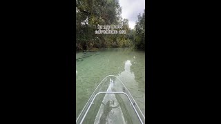 Peaceful clear kayak adventure in central Florida [upl. by Rockwell]