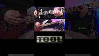 TOOL  Stinkfist  Guitar and Bass Cover 3 [upl. by Adamina]