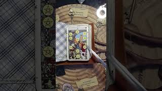 TarotMitTeilung tarot orakelcoaching tarotkarten tarotreading [upl. by Nesnar216]