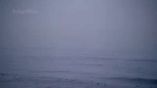 Great White Shark breaches at Ocean Beach [upl. by Arak]