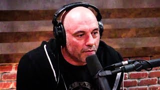 Joe Rogan Responds To Sam Seders Firing At MSNBC [upl. by Mikol703]