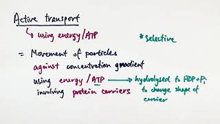 AS Biology  Active transport OCR A Chapter 54 [upl. by Nednarb483]