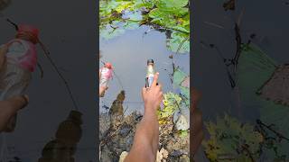 Fishing ChallengeshortsreelsUnique Style Plastic Bottle Hookhook [upl. by Limaj1]