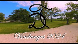 Domaine de Thermes Vendanges 2024 [upl. by Nrojb]