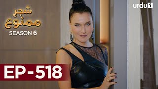 ShajareMamnu  Episode 518  Turkish Drama  Forbidden Fruit  Urdu Dubbing  16th January 2023 [upl. by Dhumma21]