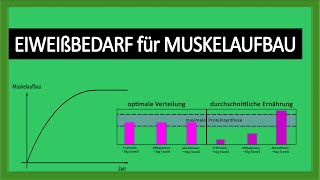 Studie Eiweißbedarf für optimalen Muskelaufbau  Tagesbedarf Eiweiß  mehr Muskeln aufbauen [upl. by Amye]